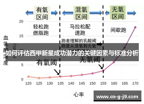 如何评估西甲新星成功潜力的关键因素与标准分析