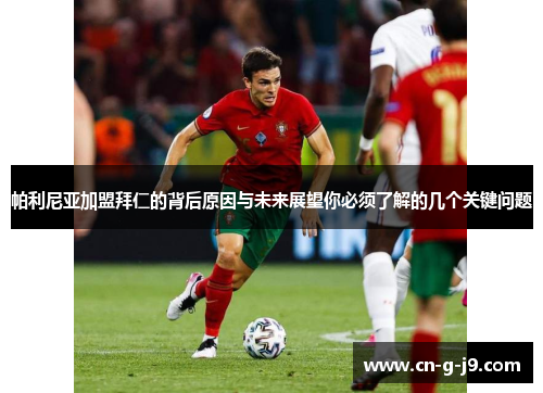 帕利尼亚加盟拜仁的背后原因与未来展望你必须了解的几个关键问题