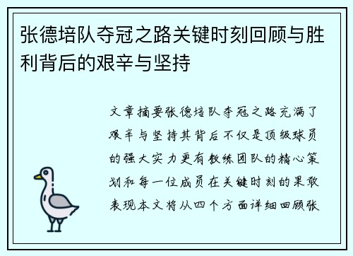 张德培队夺冠之路关键时刻回顾与胜利背后的艰辛与坚持
