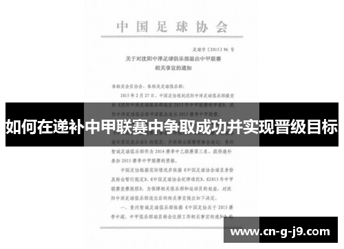 如何在递补中甲联赛中争取成功并实现晋级目标