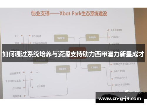 如何通过系统培养与资源支持助力西甲潜力新星成才