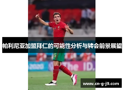 帕利尼亚加盟拜仁的可能性分析与转会前景展望