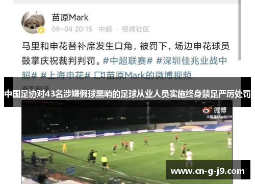 中国足协对43名涉嫌假球黑哨的足球从业人员实施终身禁足严厉处罚