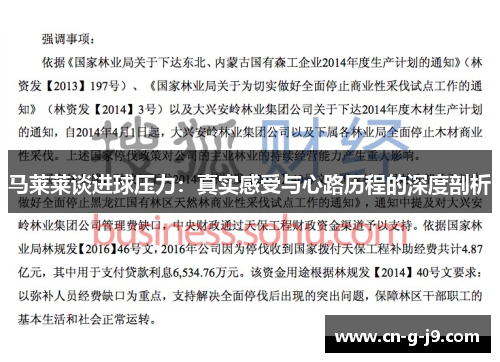 马莱莱谈进球压力:真实感受与心路历程的深度剖析 马莱莱谈进球压力:真实感受与心路历程的深度剖析
