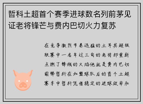 哲科土超首个赛季进球数名列前茅见证老将锋芒与费内巴切火力复苏 哲科土超首个赛季进球数名列前茅见证老将锋芒与费内巴切火力复苏